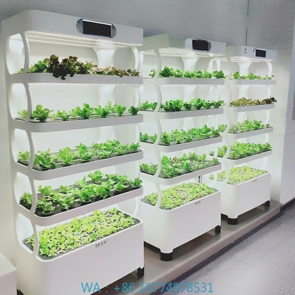 Automatyczny system hydroponic – Home Automation Diy recenzja i cena